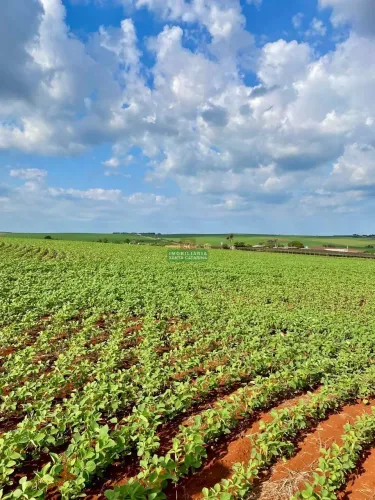 Terreno à venda em Mandaguari, GLEBA RIBEIRÃO ALEGRE, com 20500 m²