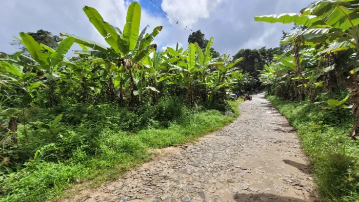 Lote/Terreno para venda tem 20000 metros quadrados em Pacoti - Pacoti - CE
