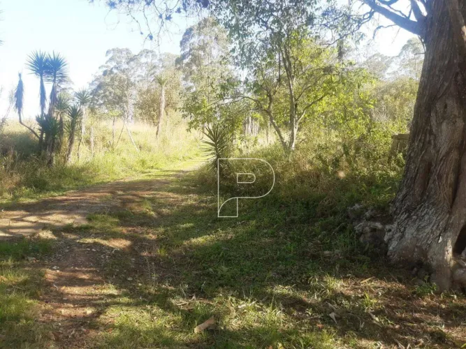 Sítio com 2 dormitórios à venda, 39000 m² por R$ 800.000,00 - Carmo Messias - Ibiúna/SP