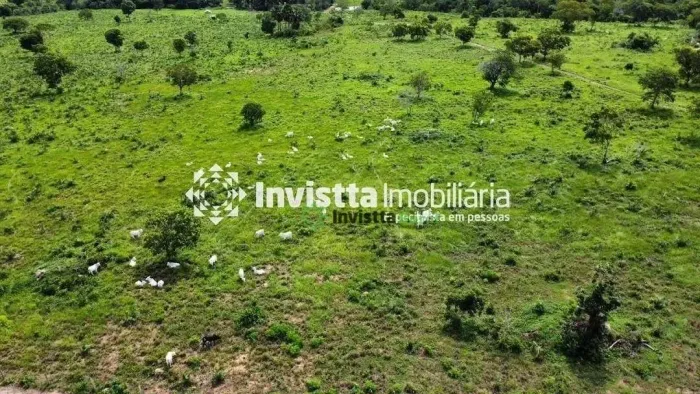 Fazenda à venda em Carolina/MA com 809 hectares, 167 alqueires e excelente estrutura para 