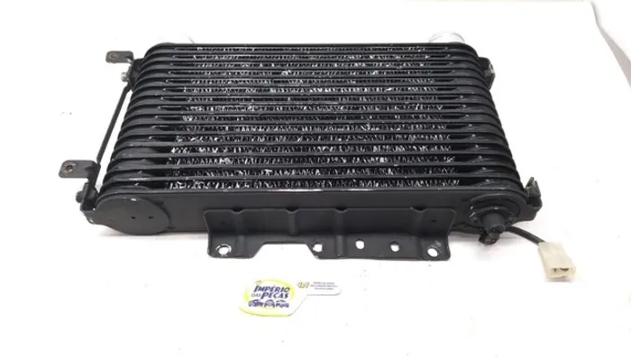 Radiador Intercooler Pajero Glsb 2.8 94/98 4m40 #25755