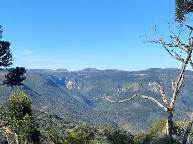 Chácara de 2 hectare em Urubici