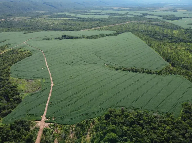 Fazenda de arrendamento 2.630 hec e 2.030 plantando Região Diamantino / nobres