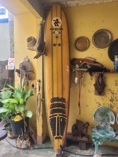 Prancha de Surf, Gigante: