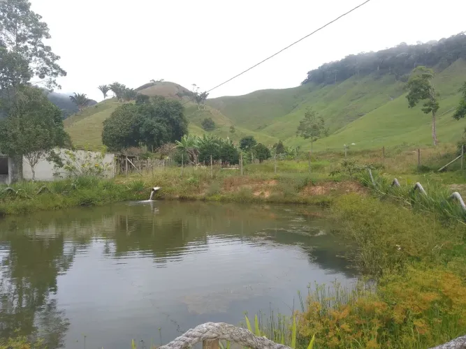 Fazendinha Alfredo chaves 14 alqueires 