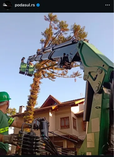 Corte e poda de arvores *