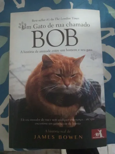 Livro um gato de rua chamado bob