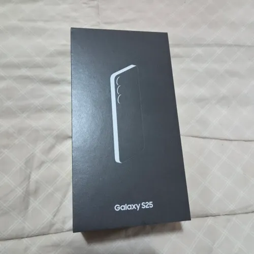 Samsung Galaxy S25 Prata