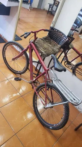 Bicicleta Aro 24