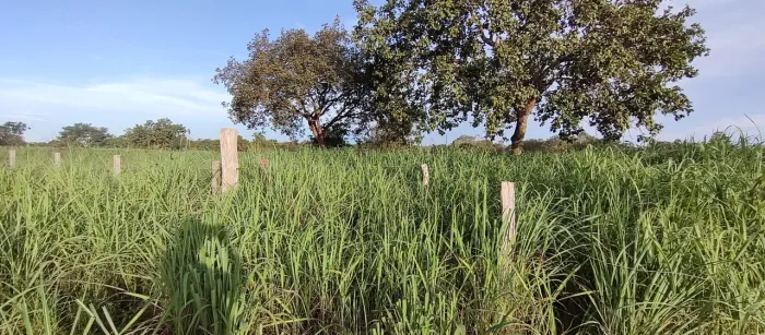 Vende se chácara Divinópolis to