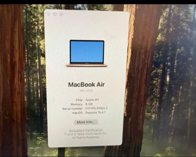 Macbook Air 2020