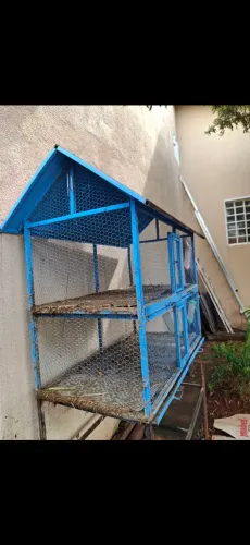 Gaiola para coelho e porquinho da india