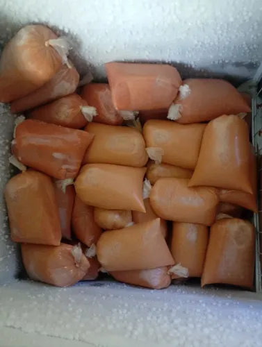 Polpa de caju