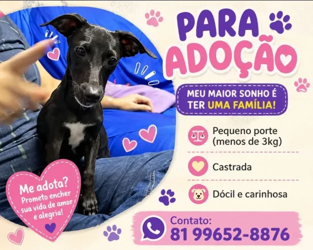 Cadeia micro para adoção