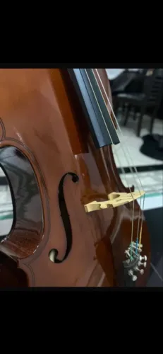 Violoncelo Alan - 4/4