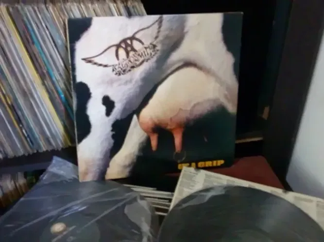 Aerosmith LP disco vinil Get a grip 2 LPs