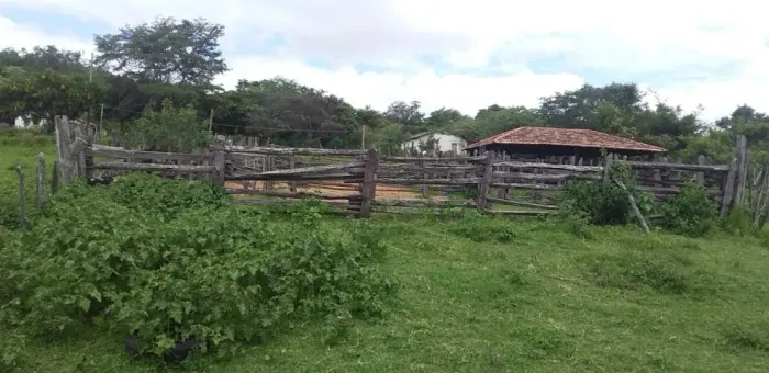Vendo Fazenda com boa oferta de agua, de 345 hectares em Cachoeira do Pajeu, MG
