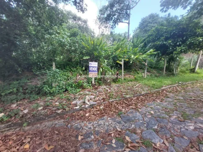 OPORTUNIDADE! Terreno de 800m² em Dois Irmãos Ideal para construir ou investir