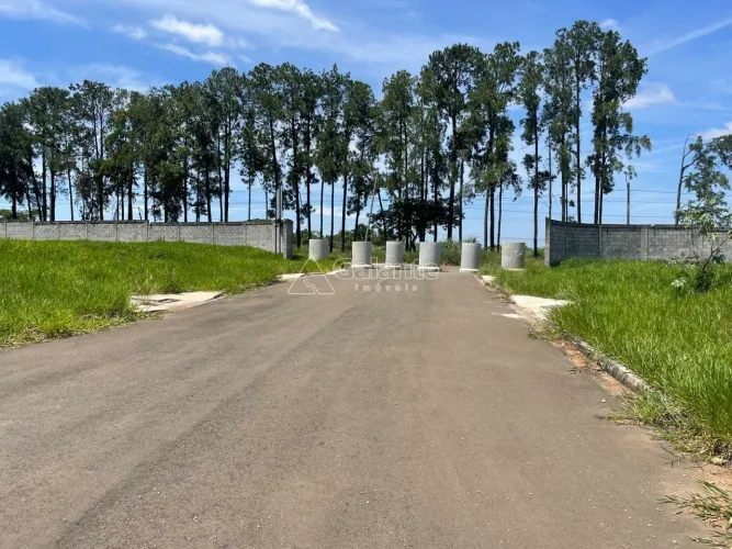 terreno - Tijuco das Telhas - Campinas