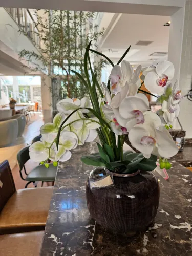 Vaso planta artificial (de 589,00 por 199)