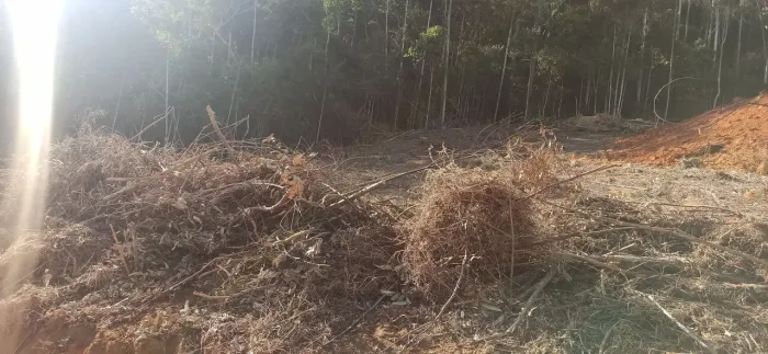 ? **Oportunidade Imperdível: Venda de Área em Ponto Alto - Parajú!** ?