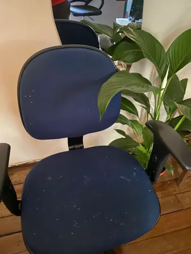Cadeira escritório azul acolchoada com ajuste