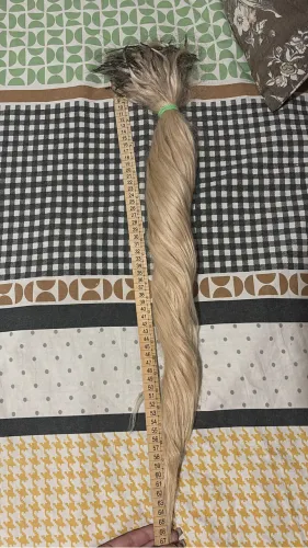 CABELO HUMANO VIETNAMITA