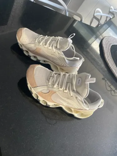 Mizuno prophecy beta