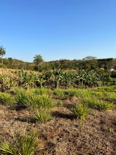 Chácara em luzimangues 