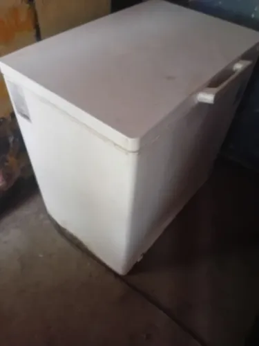 Frizinho semi