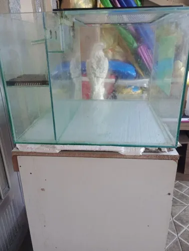 Aquário com sump traseiro + tela protetora