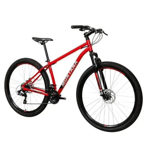 Bike Aro 29
