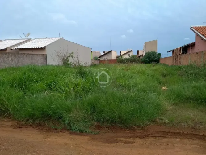 TERRENO MURADO EM U COM ASFALTO