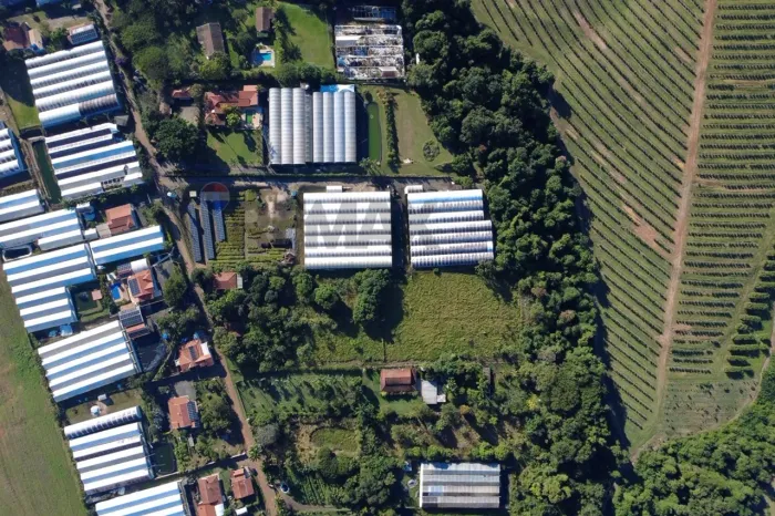 Chácara à venda no Bairro Palmeirinha em Holambra SP com 5.978 m²