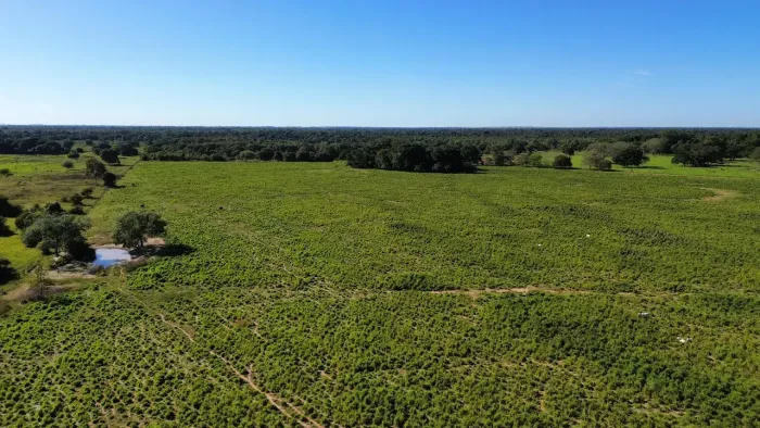 FAZENDA À VENDA COCALINHO/MT - 63 alqueires