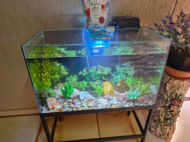Aquário 200 litros completo