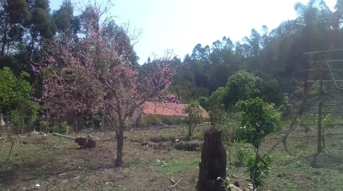 Linda casa