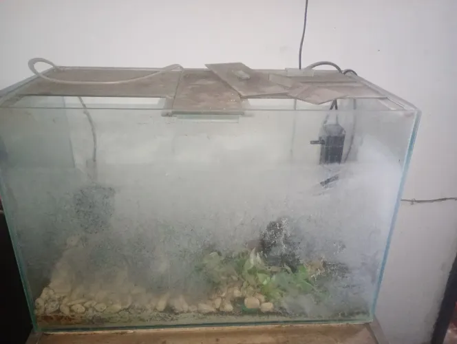 Aquário com mesa de suporte