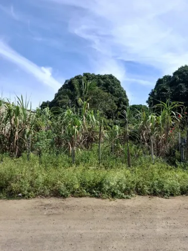 Terreno 300 m sol da manhã parque residencial Nova Almeida 