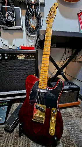 Guitarra Telecaster Terra Luthier