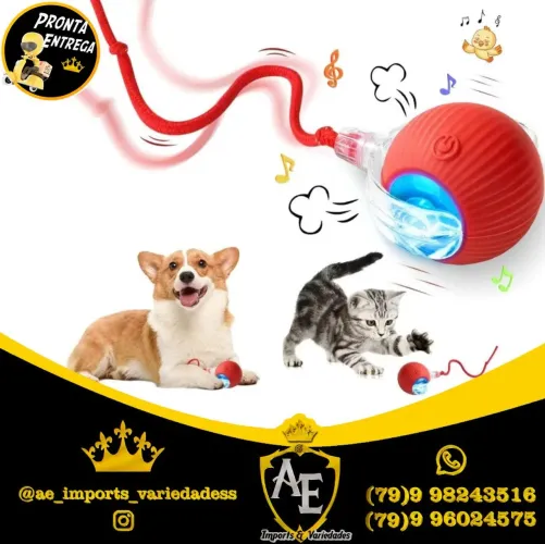 Bolinha para cachorro e gatos 