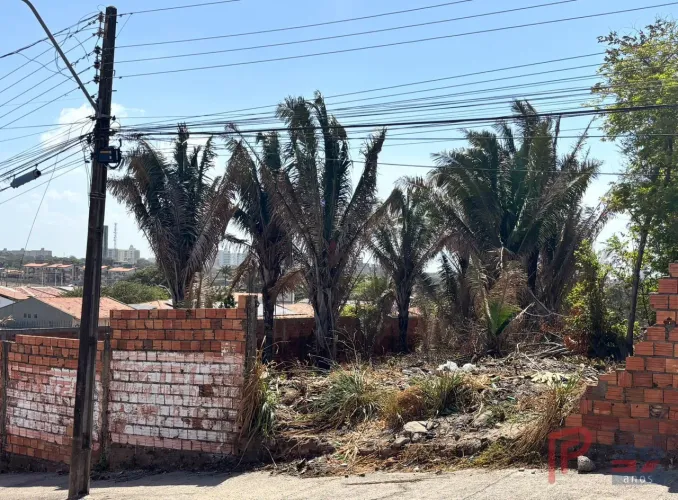 Terreno locação Olho D'Agua