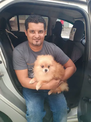 Táxi dog