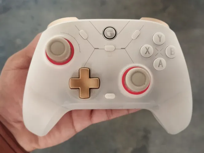 Controle GameSir Cyclone 2 - Estado de Novo (5 meses de uso) na Caixa