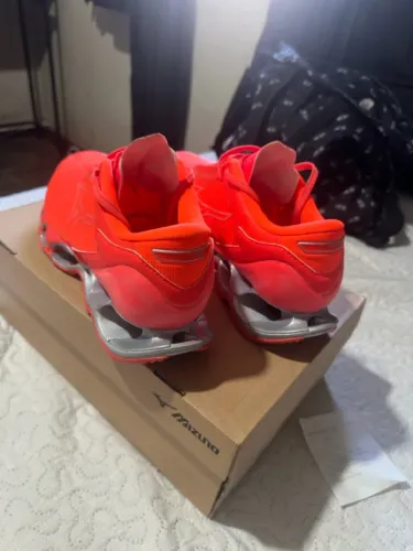 Mizuno prophecy 12