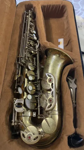 Sax alto Shelter.