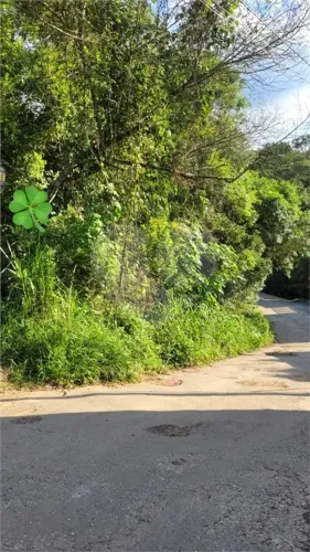 Loteamento à venda em Canjica (terra preta) - SP