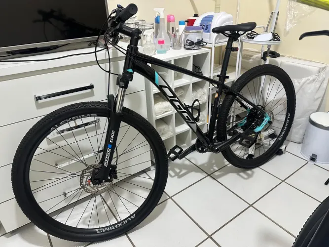 BIKE OGGI BIG WHEEL 7.1 2024 