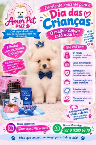 Filhote de Lulu da pomerânia