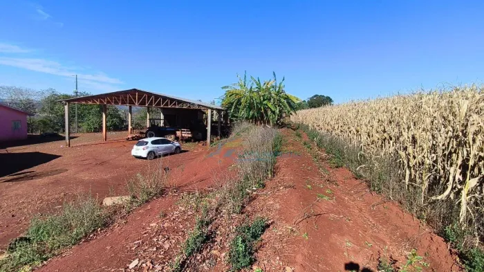 Sítio com 4 dormitórios à venda, 193600 m² por R$ 2.500.000,00 - Cerro Azul - Lindoeste/PR